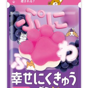PUNIFUWA NIKUKYU GUMI GRAPE "SENJAKU" 30G