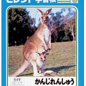 SELECT GAKUSHUCHO KANJI RENSHU K-45 84JI "SEIWA PRO".