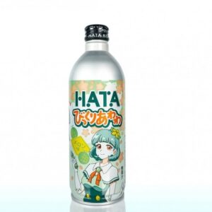 BIKKURI AWAWA MELONENFLASCHE „HATA“ 500 g